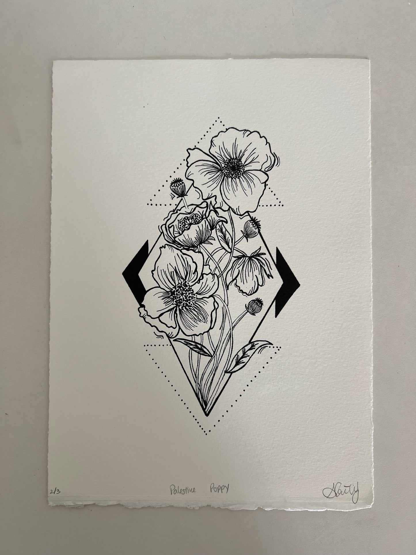 POPPIES OF PALESTINE